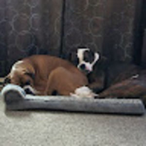 Meet your Posher, Julie